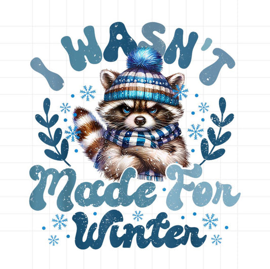 Winter Raccoon